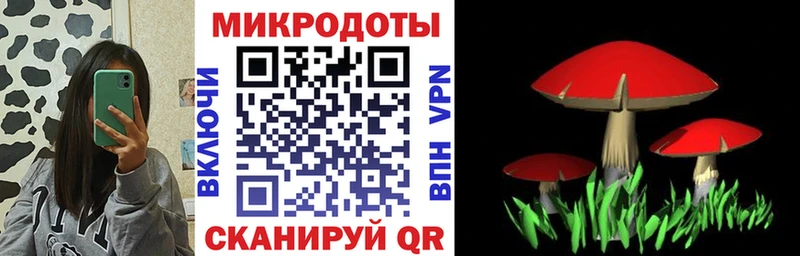 Псилоцибиновые грибы MAGIC MUSHROOMS  Купить закладки  Ижевск 